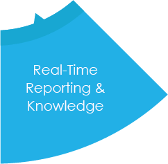 Real-Time Reporting & Knowledge