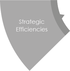 Strategic Efficiencies