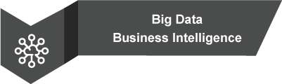 Big Data Business Intelligence