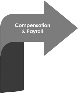 Compensation & Payroll