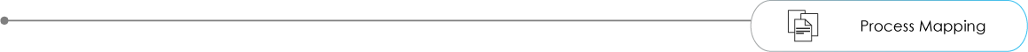 Process Mapping