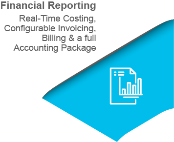 Financial Reporting