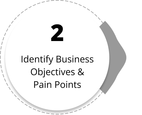 Identify Business Objectives & Pain Points